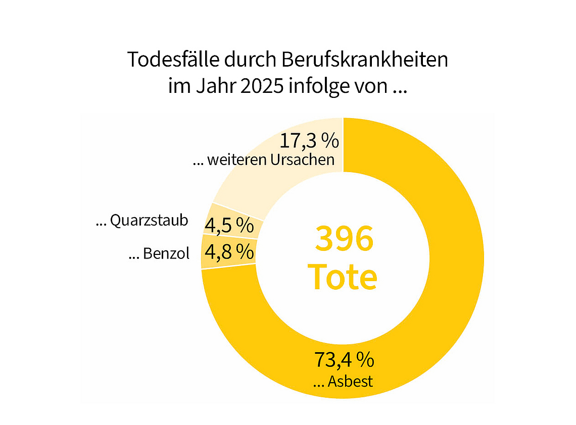 Kreisdiagramm mit der prozentualen Verteilung der Ursachen tödlicher Fälle von Berufskrankheiten. 