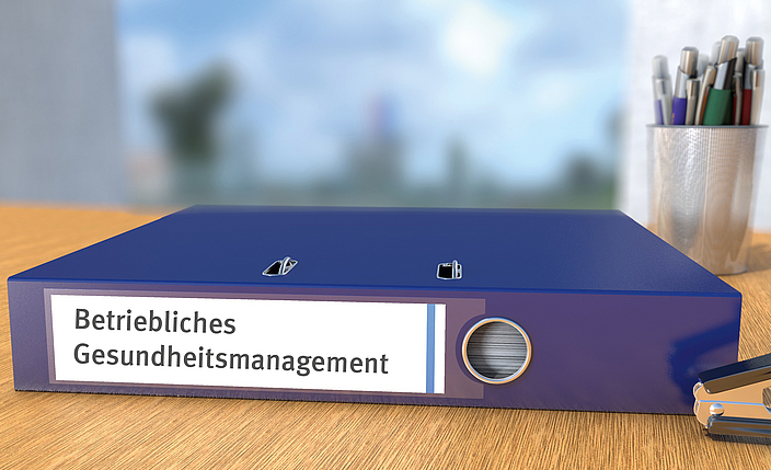 Ein Aktenordner zum Betrieblichen Gesundheitsmanagement (BGM).