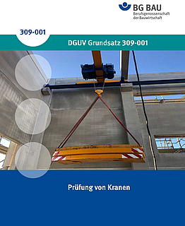 Titelbild des DGUV Grundsatz 309-001: Prüfung von Kranen.
