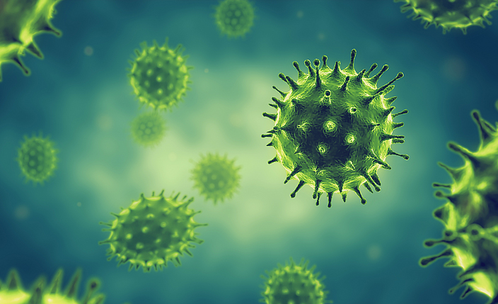 Zellen eines  Grippevirus (Coronavirus).
