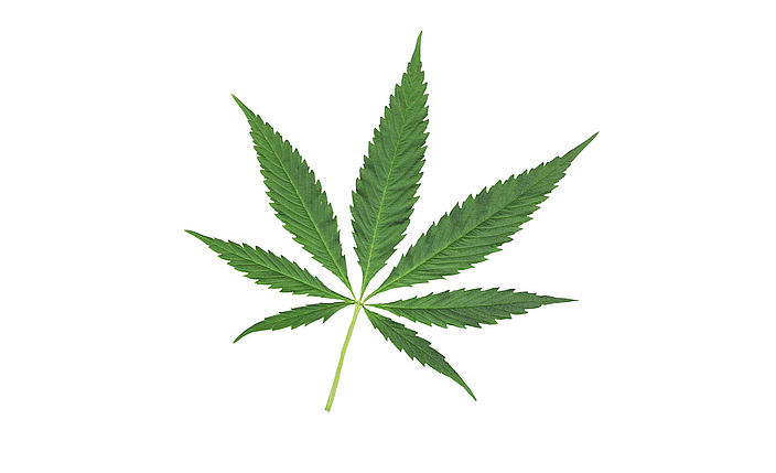 Symbolhafte Darstellung der Blätter des Hanfes (Cannabis) als abhängigkeitserzeugendes Mittel.
